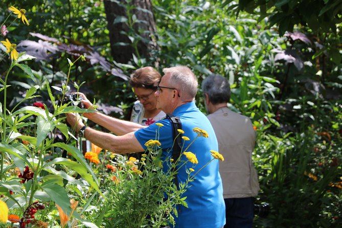 Giverny's House & Gardens plus Versailles Palace Day Trip with Lunch from Paris - Versailles gardens and the Musical Fountain Show timing