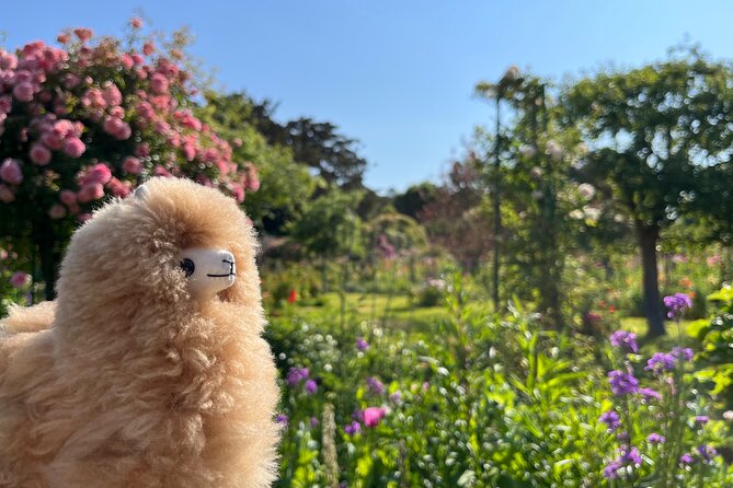 Giverny & Versailles Private Guided Tour with Ticket Entry - Versailles Palace of Louis XIV: the Hall of Mirrors without the headache