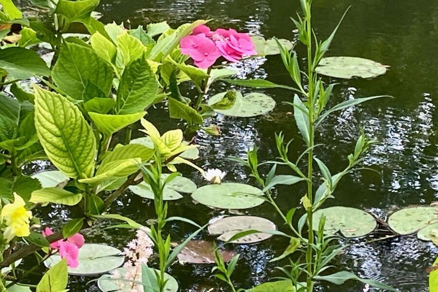 Giverny Versailles Trianon Small Group by Minivan from Paris - The long-day reality check: timing, walking, and what to wear