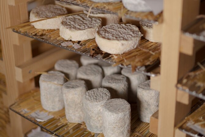 Guided visit of the Cheese Museum with Tasting Included - Getting Oriented Inside the Musée Vivant du fromage