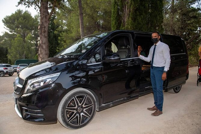 Half-Day Private Paris City Tour with Private Guide and Driver - How the Private Van Changes Your Paris Day