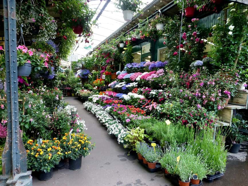 Île de la Cité & Notre-Dame Guided Tour - Key things you will notice on this walk