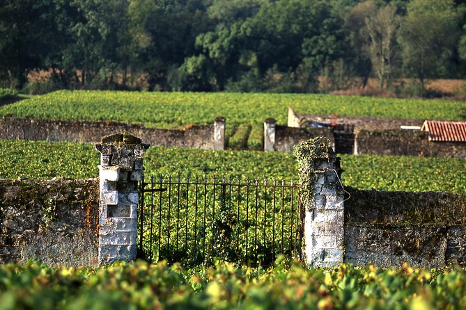 Incredible Loire castles tour with lunch and a vineyard visit - Winery tasting: how much wine time you’ll really get