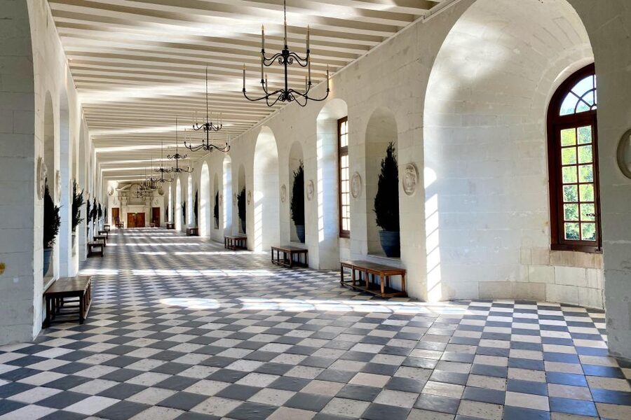 Loire Valley Castles: Chenonceau, Amboise & Da Vinci Trip - Wine Tasting at a Family Vineyard: Small, Structured, and Fast