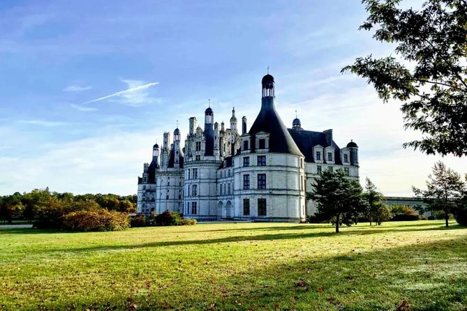 Loire Valley Wines and Castle Small Group Day Trip from Paris - Amboise Lunch: A Real French Meal Paired With Loire Wines