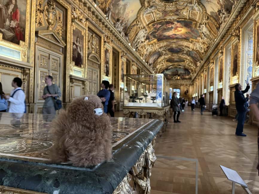 Louvre Museum Entry Ticket and Private Guided Tour - Practical tips for a smoother Louvre visit (no stress version)