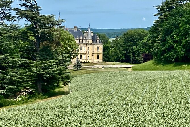 Moet et Chandon Veuve Clicquot Pommery Private Champagne Day trip - Veuve Clicquot Domaine: Staff-Led Cellars and the Best Choice for Your Tasting Count
