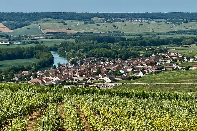 Moet et Chandon Veuve Clicquot Private Champagne trip from Paris - Hautvillers Abbey and the Viewpoint Over Vineyards