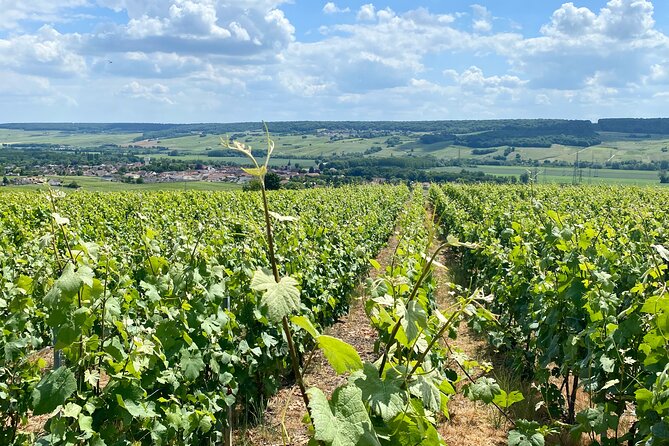 Moet et Chandon Veuve Clicquot Private Champagne trip from Paris - Reims Cathedral and the Ride Home: Historic Crowned Kings