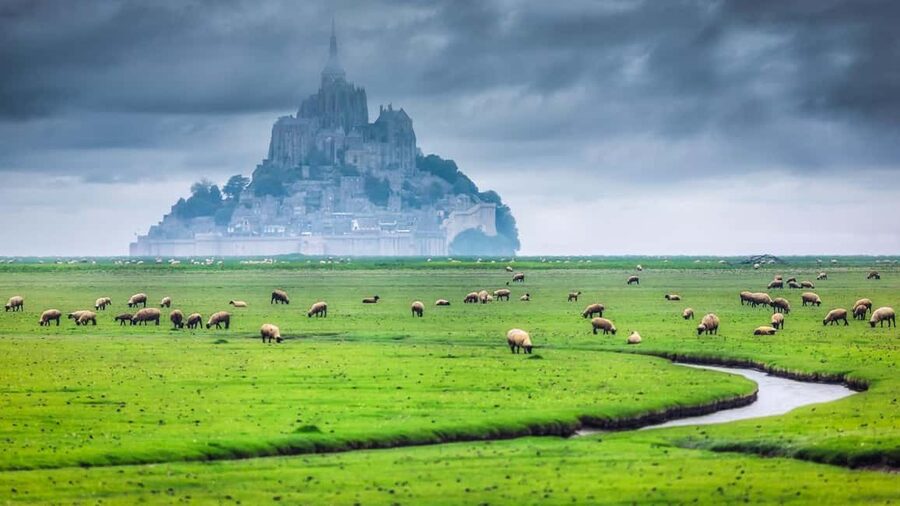 Mont Saint-Michel Small-Group Day Trip from Paris with Abbey Ticket - Paris to Normandy: A Calm Start in a Max-8 Minivan
