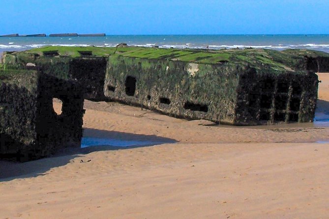 Normandy D-Day Landing Beaches Guided Tour from Paris by minivan - Seating, audio, and guide style in an 8-person van