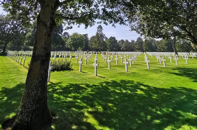 Normandy Landing Beaches Private Day Tour from Paris - The guide and language support: what to expect from the team