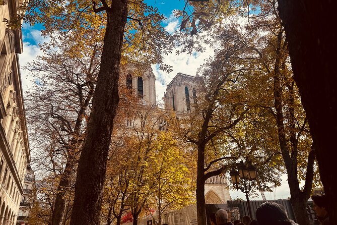 Notre-Dame Cathedral Access and Outdoor Walking Tour - The 2019 fire story and the restoration work you can actually picture