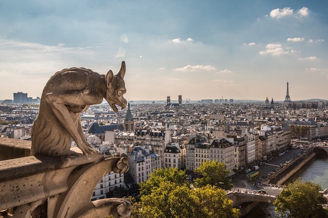 Notre Dame de Paris: Semi Private or Private Guided Tour Guide - A 1-Hour Notre Dame Primer That Works on a Tight Paris Schedule