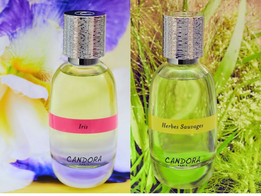 Paris: 2-Hour Perfume Creation Workshop - The first hour: quiz, perfume facts, and smelling with purpose