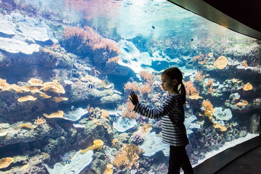 Paris: Aquarium de Paris Entrance Ticket - Practical tips: water rules, seating, and the gift shop reality