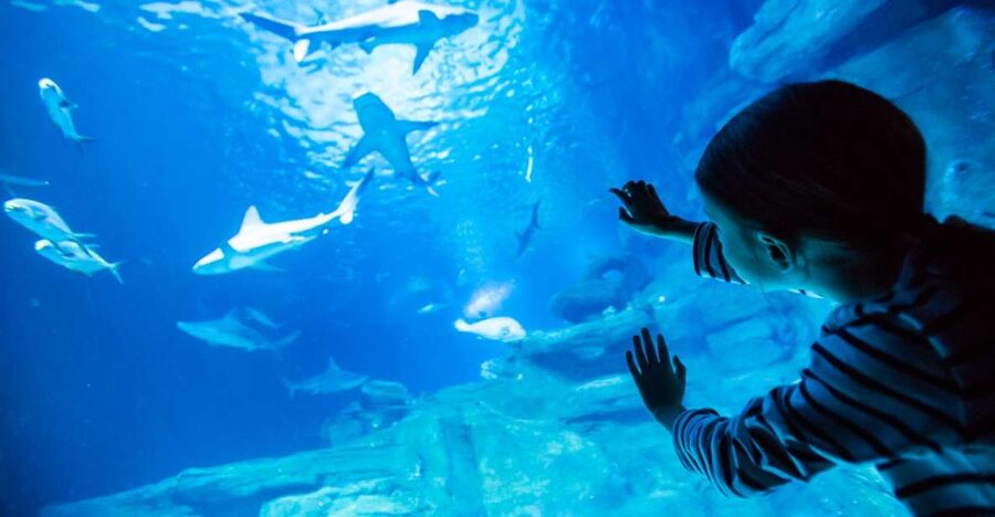 Paris: Aquarium de Paris Entrance Ticket - Trocadéro arrival, separate entrance, and finding the right spot