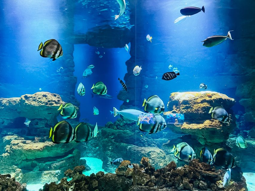 Paris: Aquarium de Paris Entrance Ticket - Touch pool time: stroke and feed, and how to keep it enjoyable