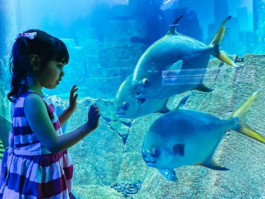 Paris: Aquarium de Paris Entrance Ticket - How long it really takes, and who this ticket fits best