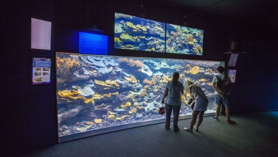 Paris: Aquarium de Paris Entrance Ticket - Price and value: is $25 per person a good deal?