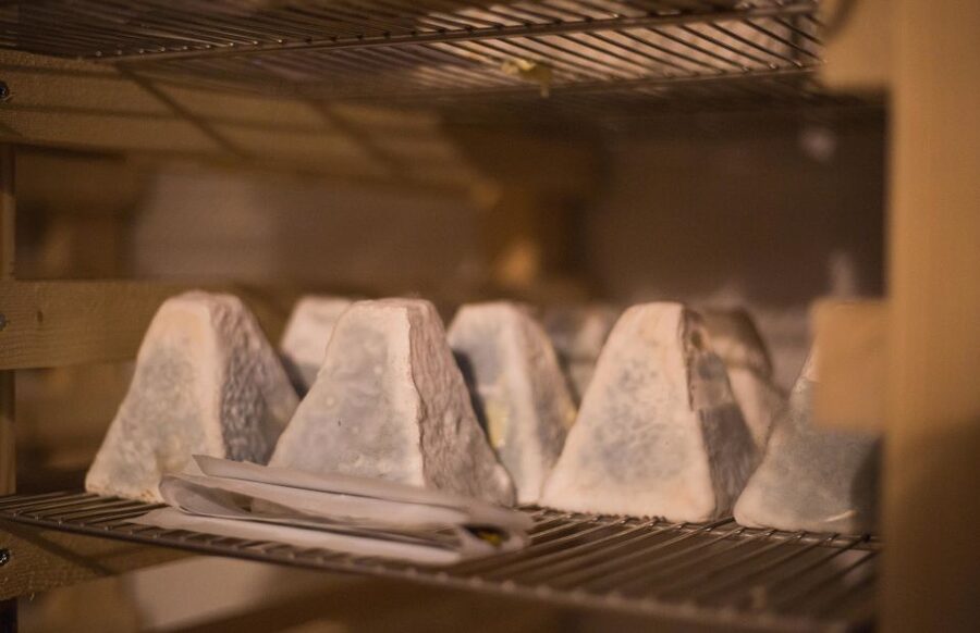 Paris: Cheese and Wine Class in a 17th Century Cellar - The maturing lesson: what you learn before the first bite