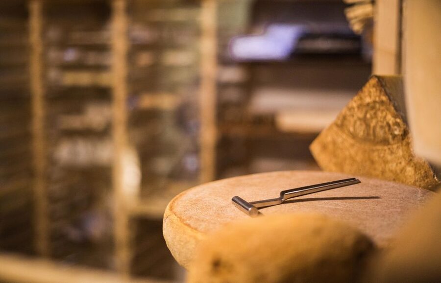 Paris: Cheese and Wine Class in a 17th Century Cellar - Musée Vivant du Fromage: the easy start in Île-de-France