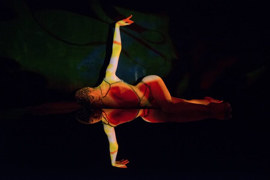 Paris: Dinner at Ginger Restaurant & Show at Crazy Horse - Small Group Size: The Difference You Feel in a Paris Night Out