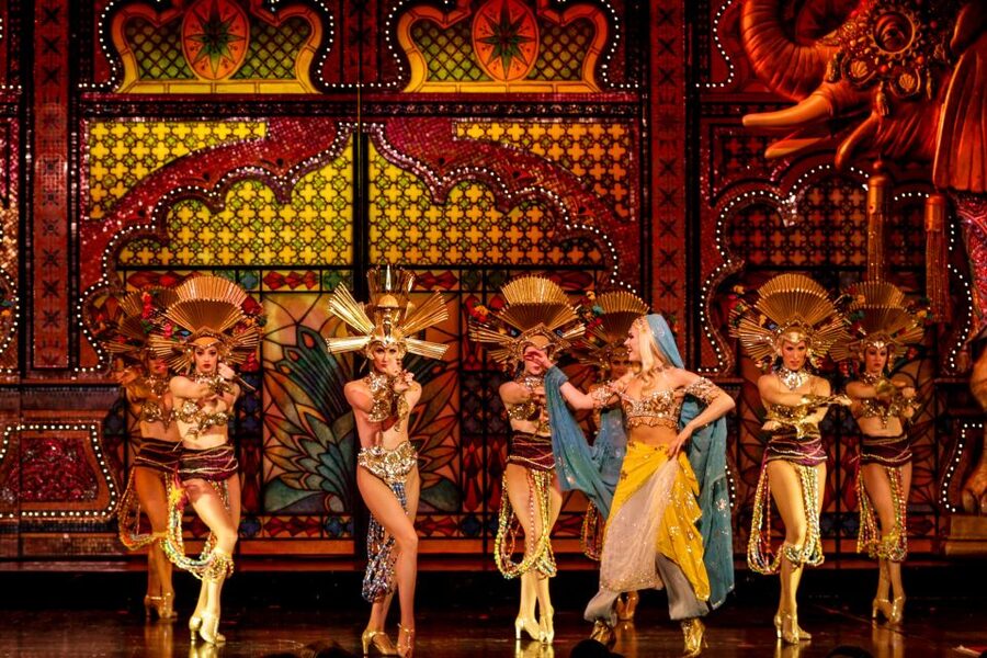 Paris: Dinner Show at the Moulin Rouge - Féerie itself: costumes, performers, and that giant aquarium moment