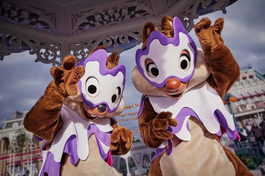 Paris: Disneyland Paris Ticket with Transfer - Who This Transfer Ticket Fits Best