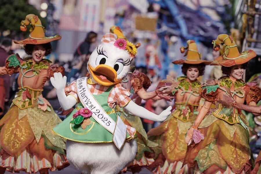 Paris: Disneyland Paris Ticket with Transfer - Coach Timing, Park Hours, and the Real Meaning of “10 Hours”