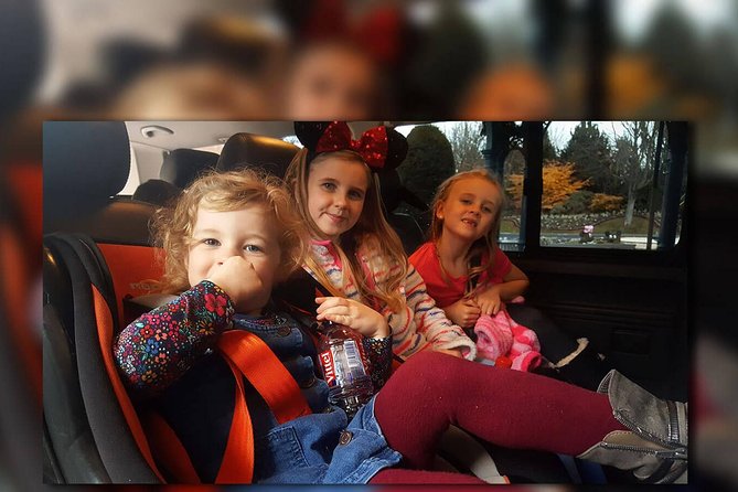 PARIS - Euro Disney (One Way) Private Shuttle Transfer - Private and practical: how this transfer really helps