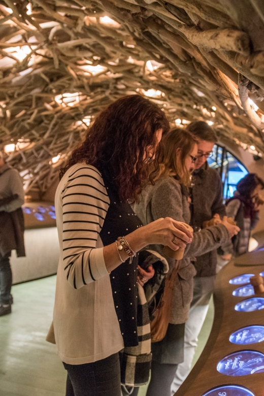Paris: French Wine Experience in Parisian Cellar - Key highlights to know before you go
