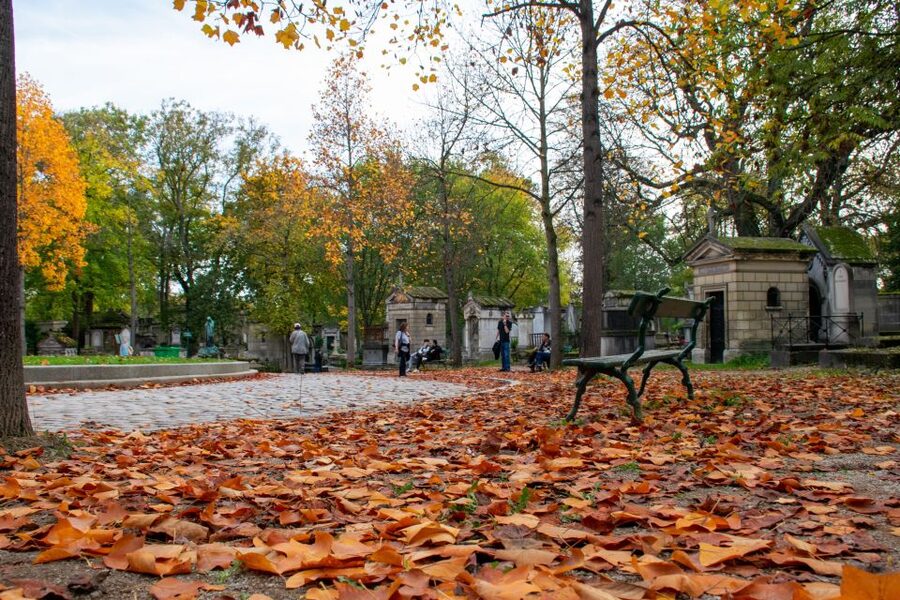 Paris: Full-Day Custom Tour with Local Guide - A Paris lunch break that fits your route, not a rigid schedule