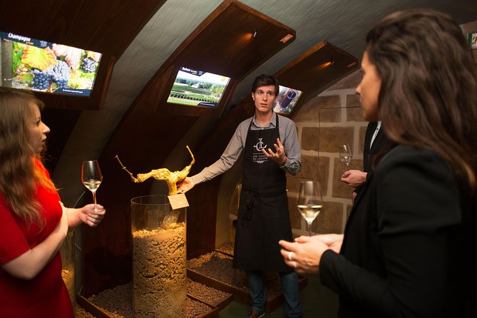 Paris - Guided Visit & Tasting in a Royal Wine Cellar - The cellar setting: royal roots, underground tunnels, and a modern touch