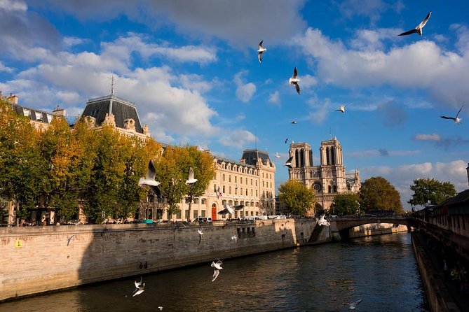 Paris Highlights Private Tour - All Paris in one day ! - Saint-Germain-des-Prés Lunch Break: Let Your Guide Do the Hard Part