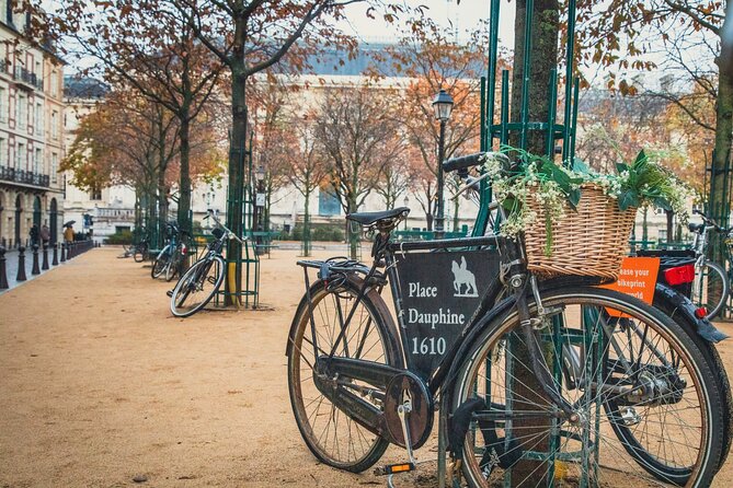 Paris History Walk: Medieval Marais, Notre Dame Islands & Stories - Notre Dame area: major landmark, explained as a historic stage