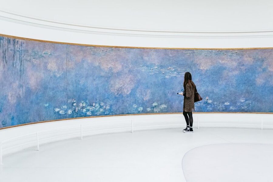Paris: L'Orangerie & Monet's Water Lilies Guided Tour - Who should book, and who might want a different plan