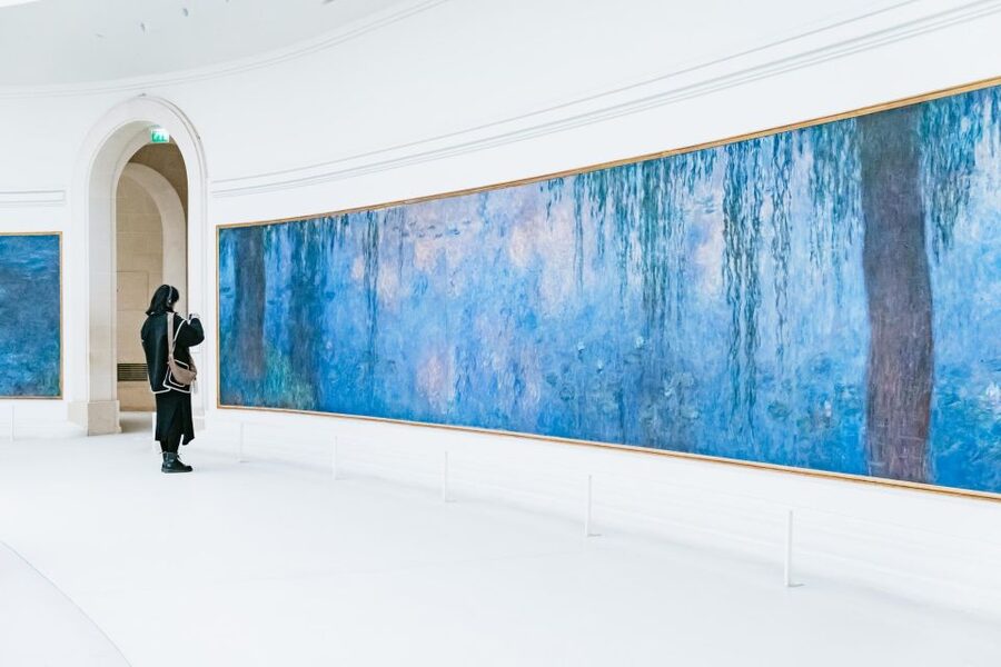 Paris: L'Orangerie & Monet's Water Lilies Guided Tour - The oval room and Monet’s Water Lilies, why it works in person