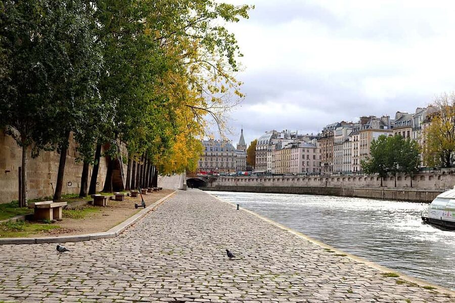 Paris: Latin Quarter Walking Tour with Local Guide - Saint-Julien-le-Pauvre: carvings and stained glass you can focus on
