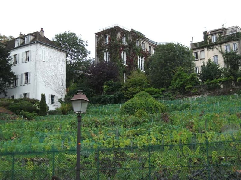 Paris: Montmartre Private Guided Walking Tour - Montmartre’s Rise, From Trouble to Art Hotspot