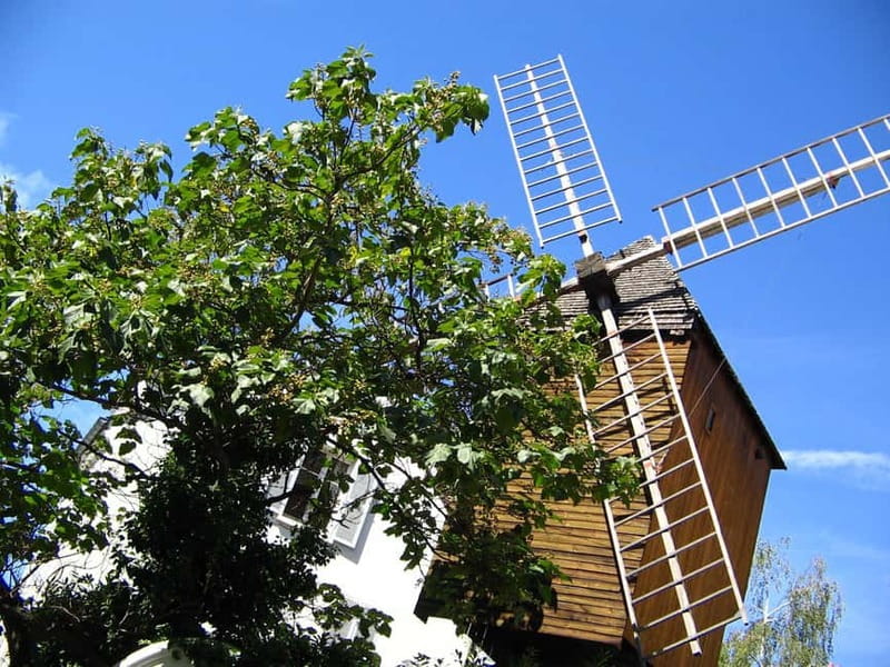 Paris: Montmartre Private Guided Walking Tour - Sacré-Cœur and Place du Tertre for Views and Street Artists