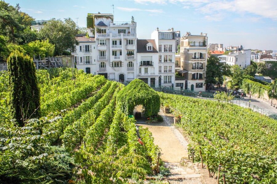Paris: Montmartre & Sacre Coeur Guided Tour 12 guests 2,5h - Why Montmartre and Sacré-Coeur feel better with a guide