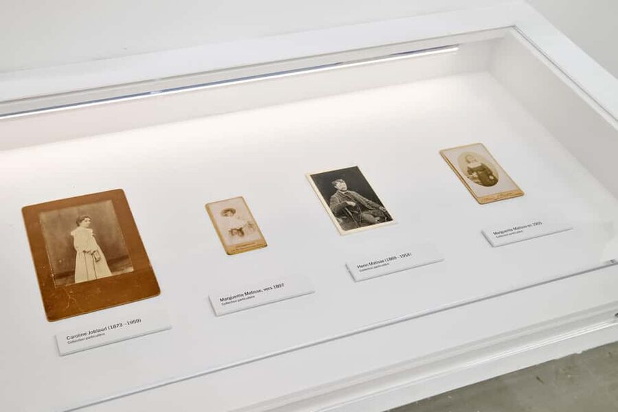 Paris Museum of Modern Art Entrance Ticket - Matisse and Picasso: where emotion meets craft
