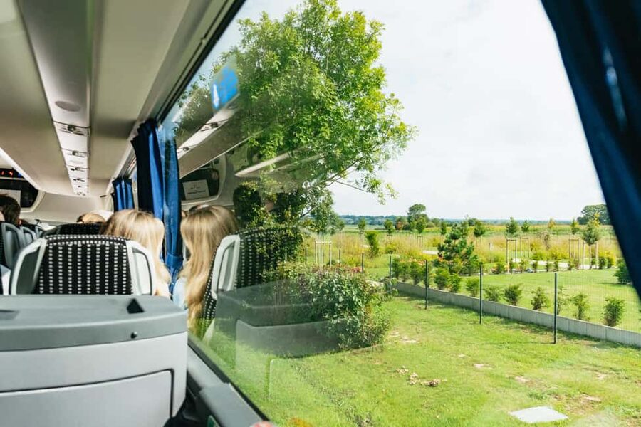 Paris: Normandy D-Day Sites Guided Day Trip with Lunch - Normandy American Cemetery at Colleville-sur-Mer: the walk that stays with you