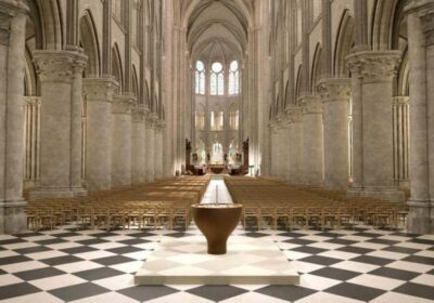 Notre-Dame Guided Tour with Multiple Entry Options