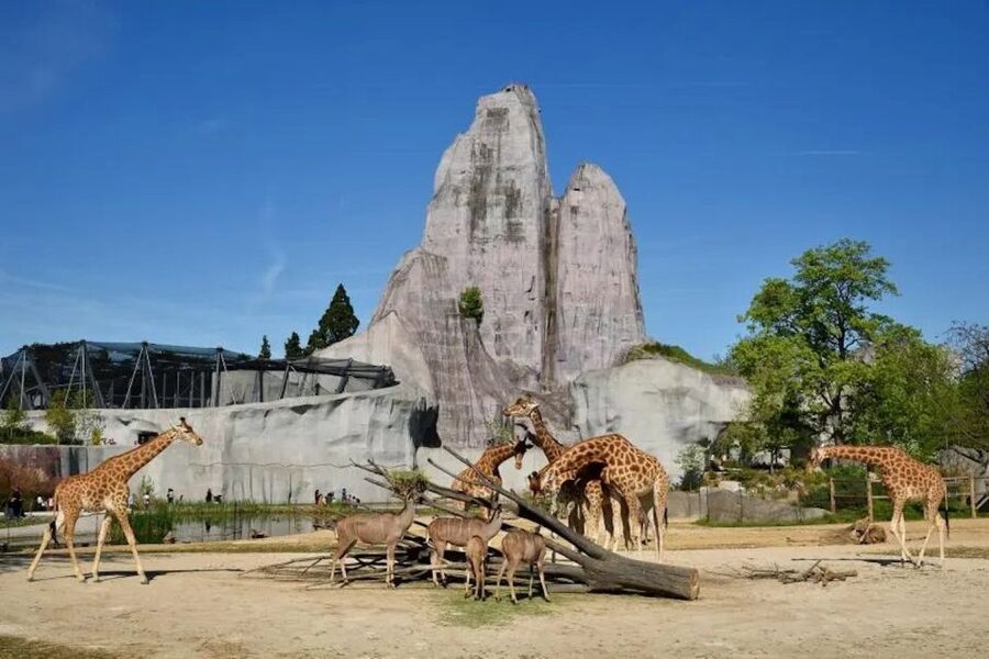 Paris: Paris Zoological Park Entrance Ticket - Key things to know before you go