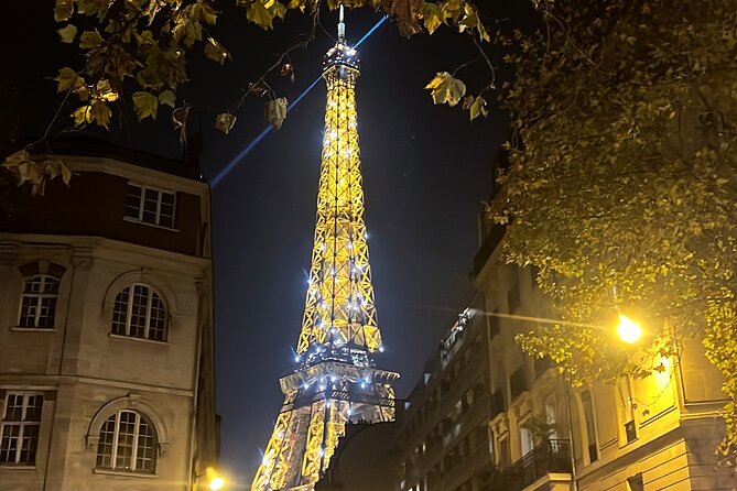 Paris Pink Tour by Night with Champagne - Eiffel Tower Photo Stop and the Champagne Moment