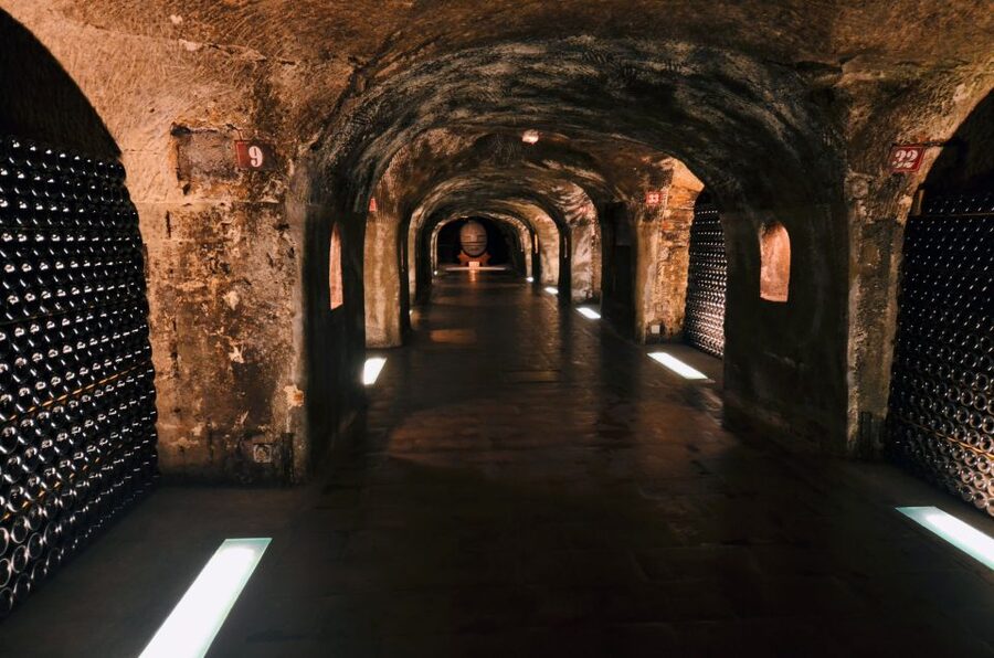 Paris: Private Day Trip to Champagne with 8 Tastings & Lunch - What 11 hours really means for your schedule