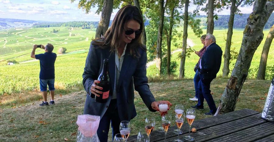 Paris: Private Day Trip to Champagne with 8 Tastings & Lunch - First guided tour: what you should pay attention to