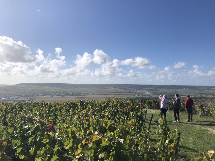 Paris: Private Day Trip to Champagne with 8 Tastings & Lunch - Drive through the UNESCO vineyards: Côte des Blancs and Vallée de la Marne
